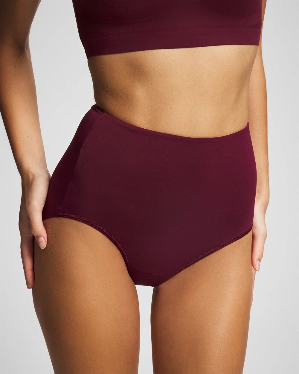 VELVET PLUM High-Waist Brief Panty