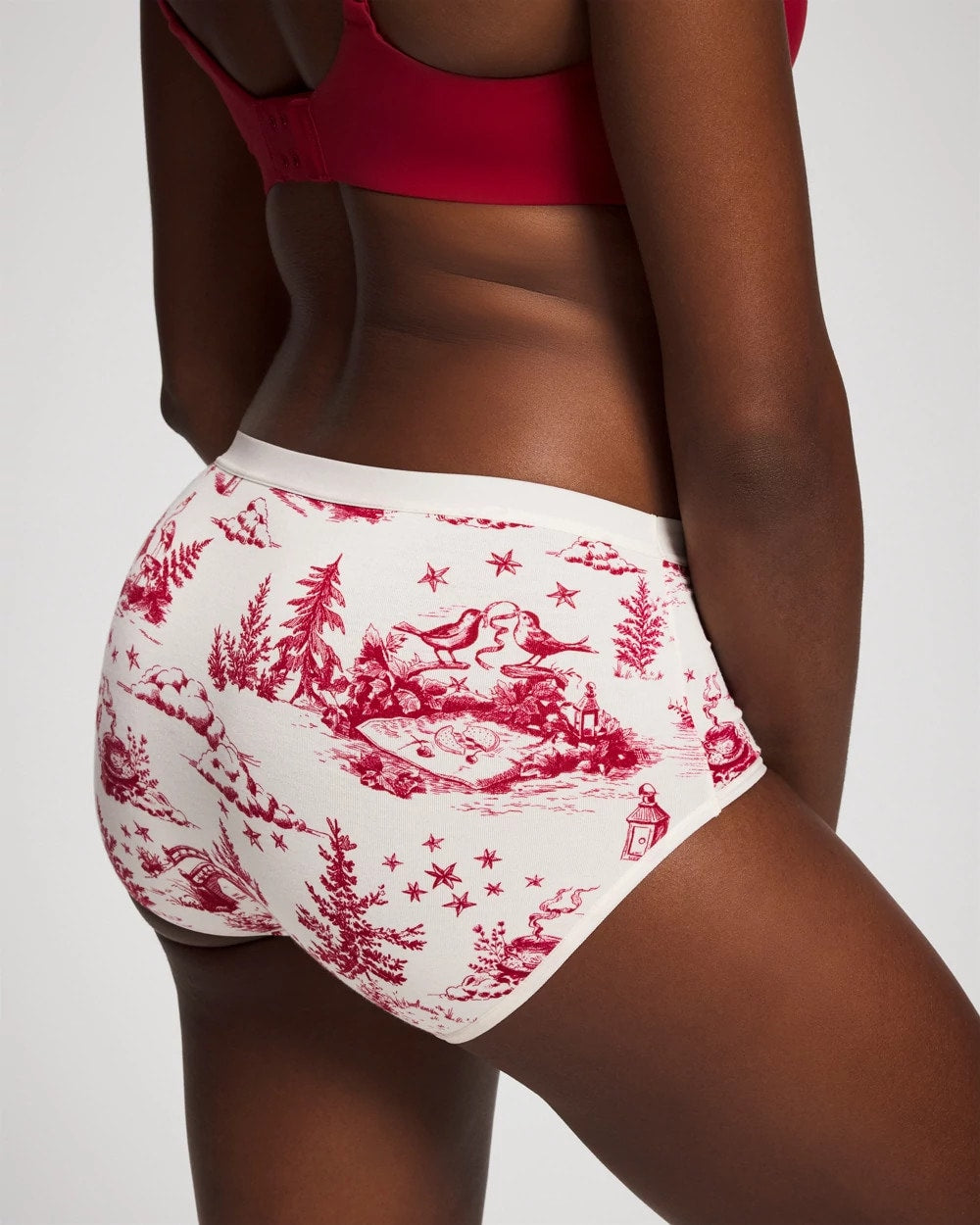 ENCHANTED TOILE CHAMPAGNE Cotton Modern Brief Panty