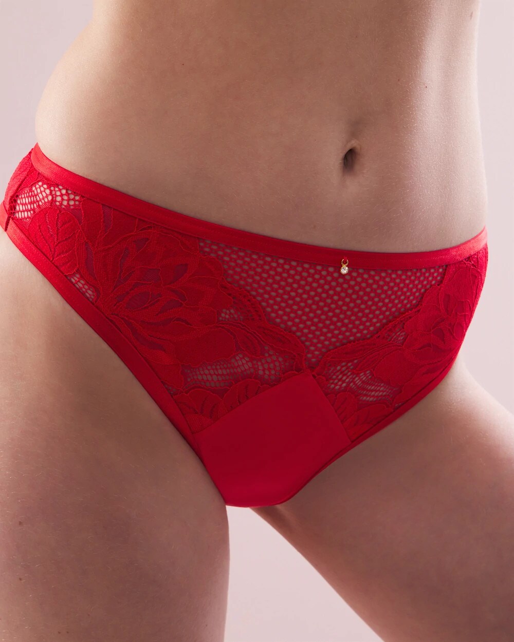 DARE ME RED French-Cut Brief Panty with Mesh and Lace