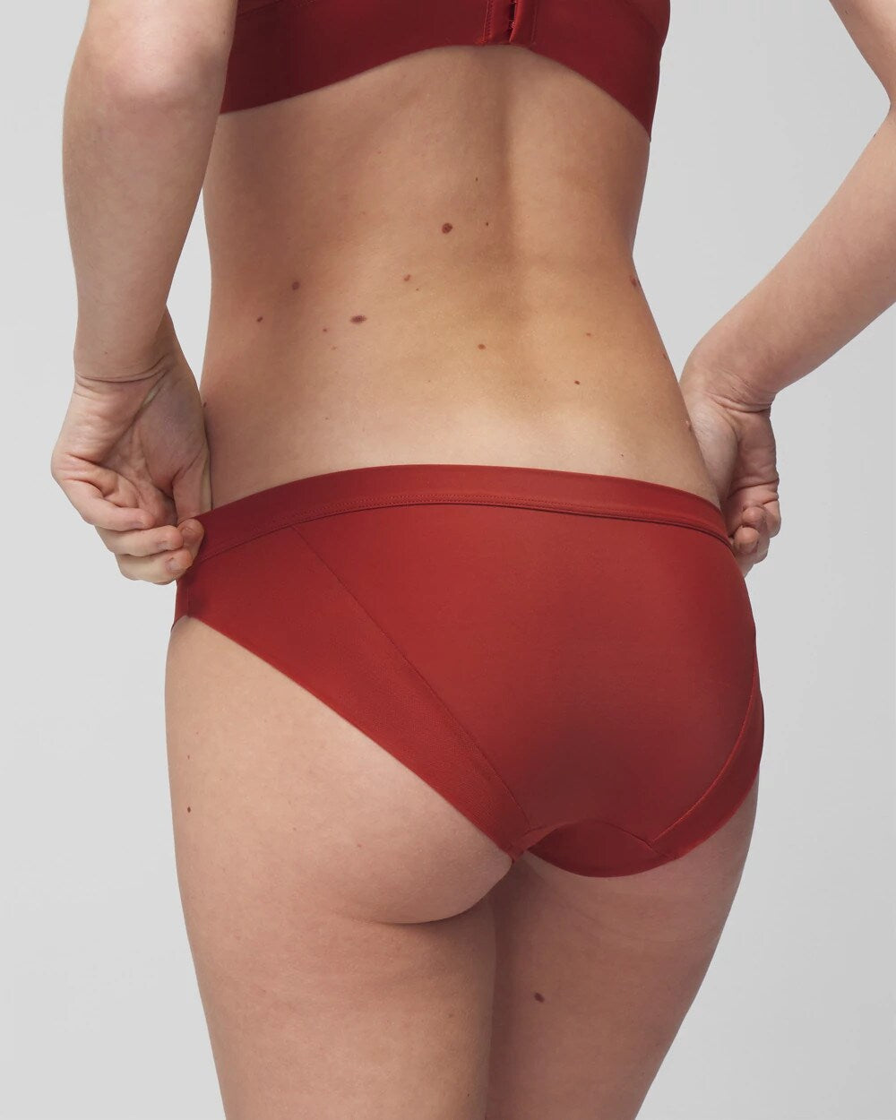 SIERRA REDWOOD Mesh Bikini Panty